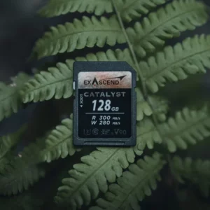 Catalyst / Essential – UHS-II SD (V90) scenario photo 3