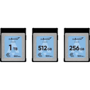 Vigor - CFexpress Type B all capacities