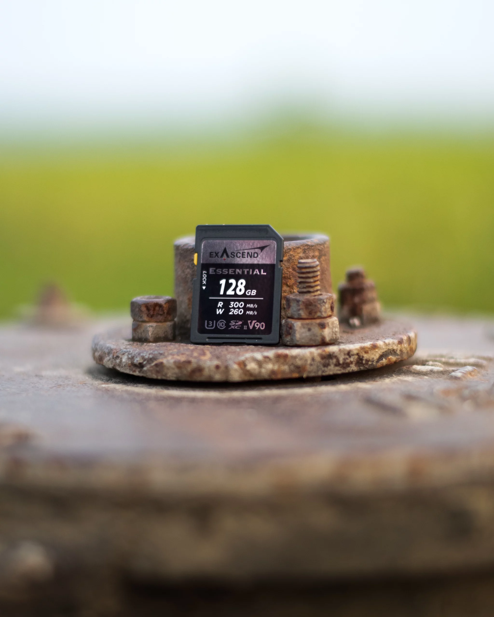 Camera Memory Card Type - SD Card
