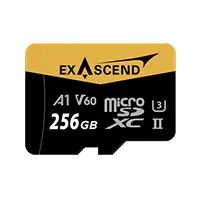 Catalyst - microSDXC UHS-II V60